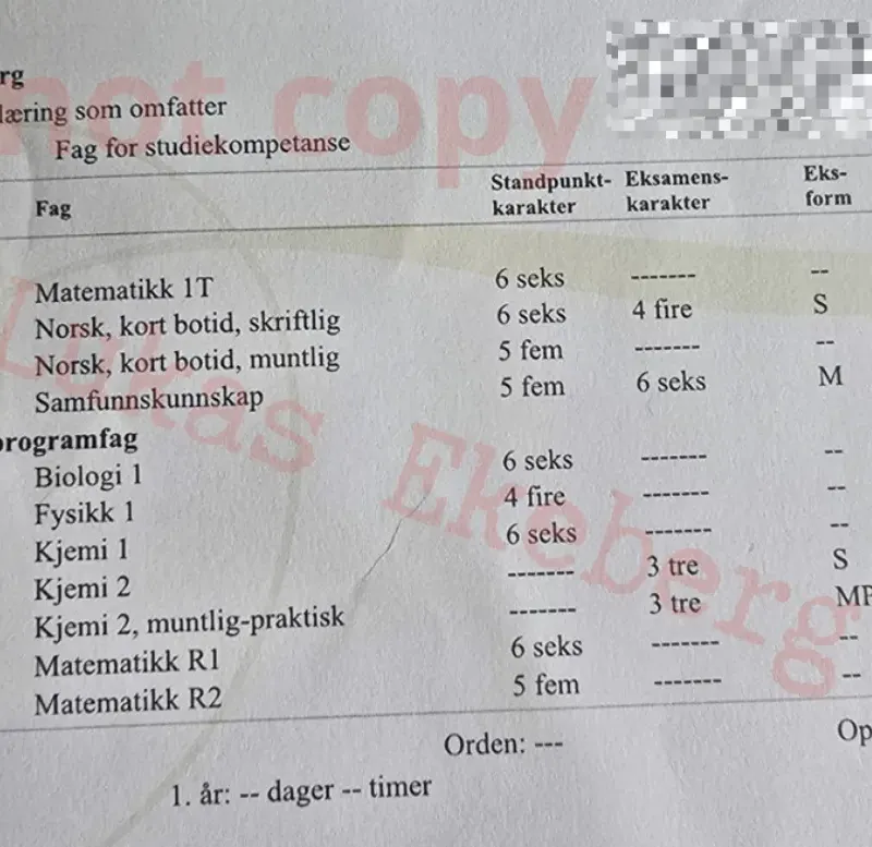 Offisielt kompetansebevis for Lukas Ekeberg — privatundervisning matte Oslo